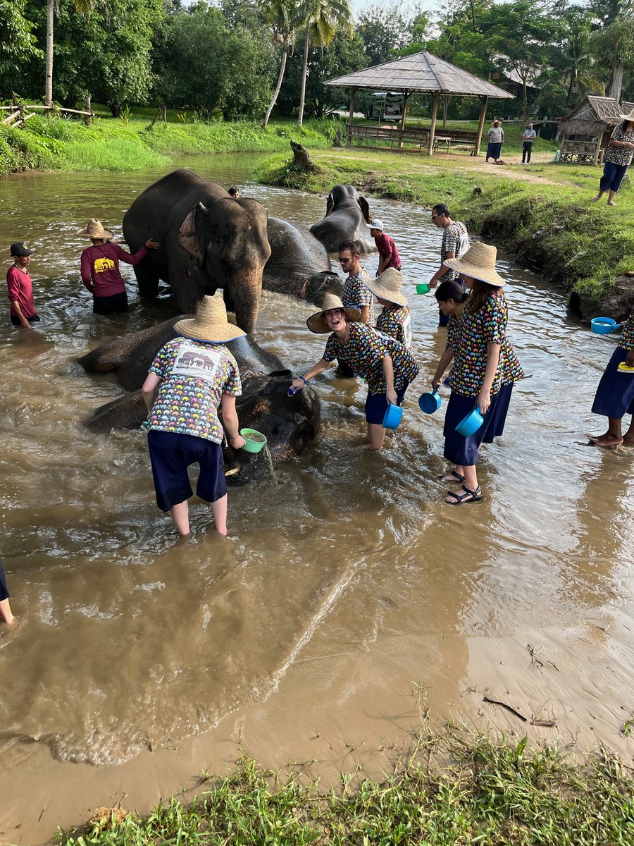 KelleySchool's tweet photo. The Kelley Direct #OnlineMBA immersion trip continues in Thailand, where students have visited companies to learn about sustainability and the Kanta Elephant Sanctuary to learn how they care for elephants previously used for entertainment or logging. #KDGlobal #KelleyDirect https://t.co/AveMbcJL0A