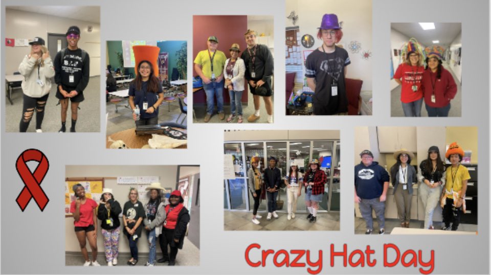 Vistas HS Program tweet media