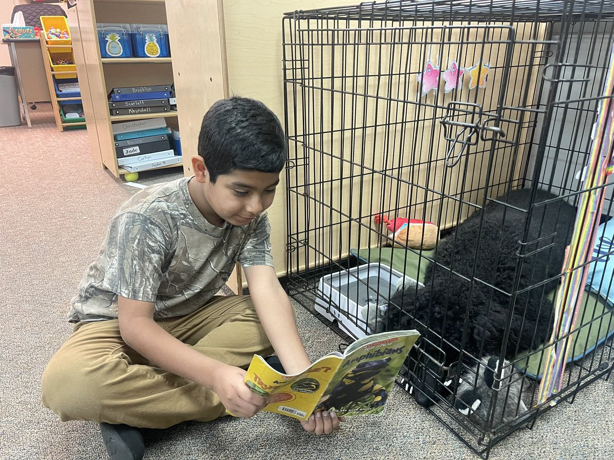 EdTechPrice's tweet image. Dottie kept whining so my friend said maybe she wants to hear about amphibians too! As soon as he sat down next to her she laid her head down!! #boysbestfriend ❤️🐩 @HumbleISD_TE @MrsRodriguezTE