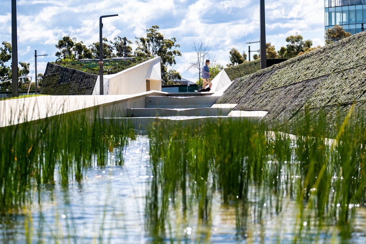 cityofsydney's tweet photo. We’ve opened a new park in the heart of Green Square. With expansive lawns, barbecues, public art, and a wetland to cleanse stormwater, the new Drying Green will become a backyard for many people living in one Sydney's busiest neighbourhoods. Learn more: https://t.co/CiZ19jxBUa https://t.co/otNicswVjJ