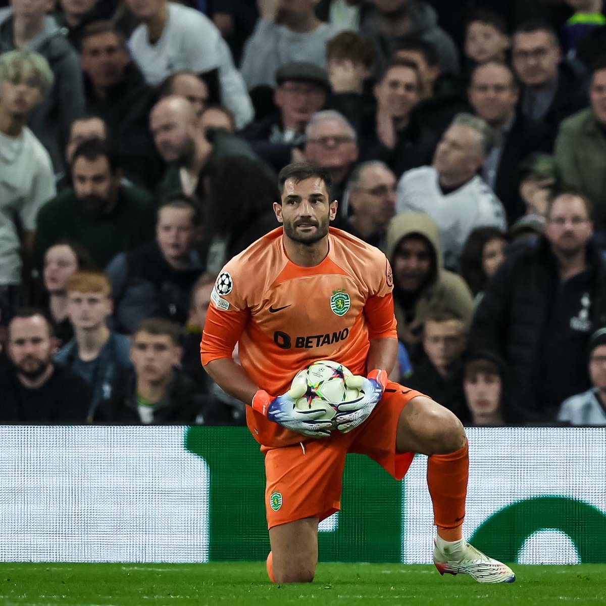 Noite de garra e coragem. Obrigado a todos os adeptos que estiveram a apoiar-nos em Londres e bom regresso. 👏🏼🦁
Noche de garra y coraje. Gracias a los aficionados que habéis venido a apoyarnos en Londres y buen viaje de vuelta! ✈️
Seguimos juntos! 💚
