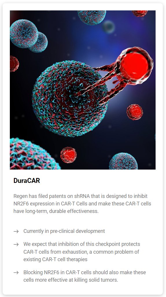 PerfectSpike's tweet image. #DuraCAR Cancer Drug.   From Regen's website today 10-26-22.  IND has yet to be submitted.  $RGBP $RGBPP
regenbiopharmainc.com/product-pipeli…