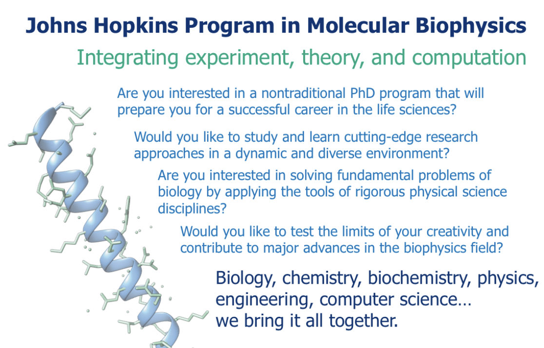 For undergraduate who is applying for graduate school, come to join the Program in Molecular Biophysics in Hopkins. We are conducting exciting research in experiment, theory and computation. Go to pmb.jhu.edu and apply today!