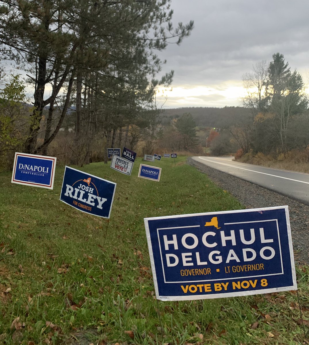 Leaving no stone unturned in rural NY. 🧑🏼‍🌾 

Delaware County must know what ticket is working for their best interest! 

Row A, baby! 

@KathyHochul
@DelgadoforNY 
@TomDiNapoli 
@JoshuaUE99 
@ericball_nysd51 

(& an old @PatRyanUC sign b/c of OUTSTANDING pro-choice messaging!)