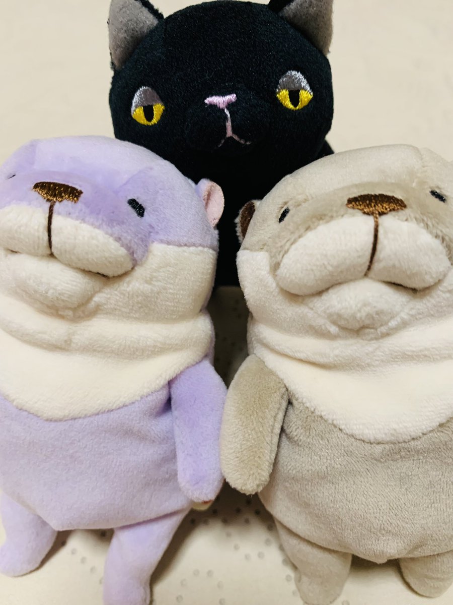 もちねこさん確認用。ぬいぐるみ