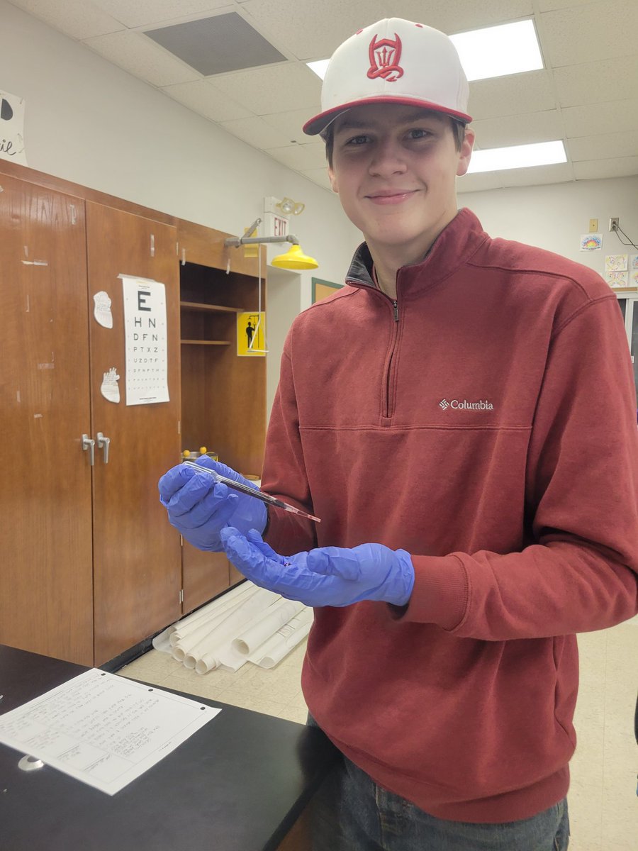 HawleyScience's tweet image. #RHSPBS students investigating blood spatter. @PLTWorg @LearnatRHS