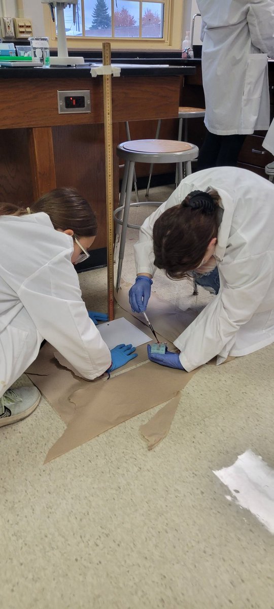 HawleyScience's tweet image. #RHSPBS students investigating blood spatter. @PLTWorg @LearnatRHS