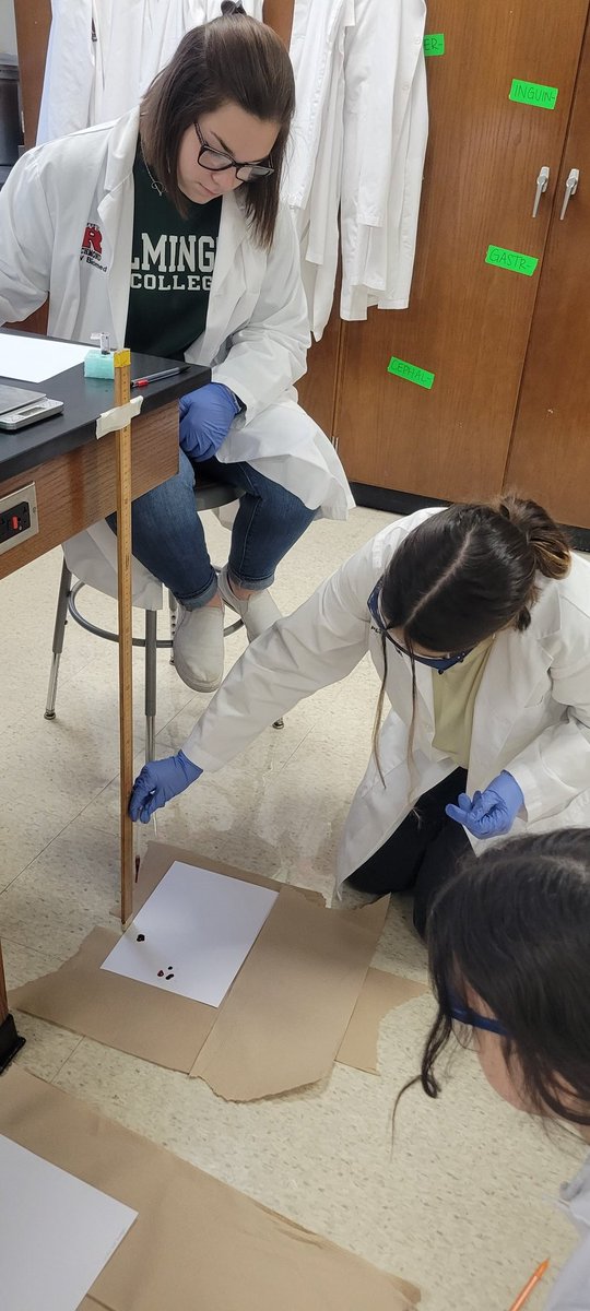 HawleyScience's tweet image. #RHSPBS students investigating blood spatter. @PLTWorg @LearnatRHS