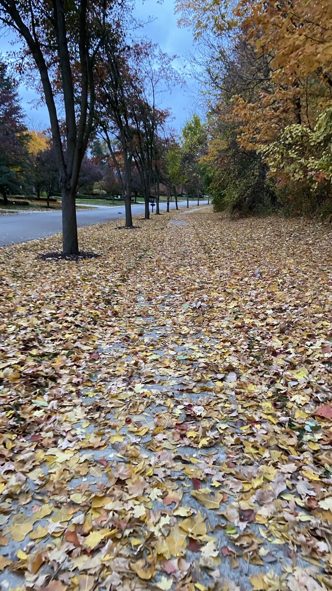 More leaves…
