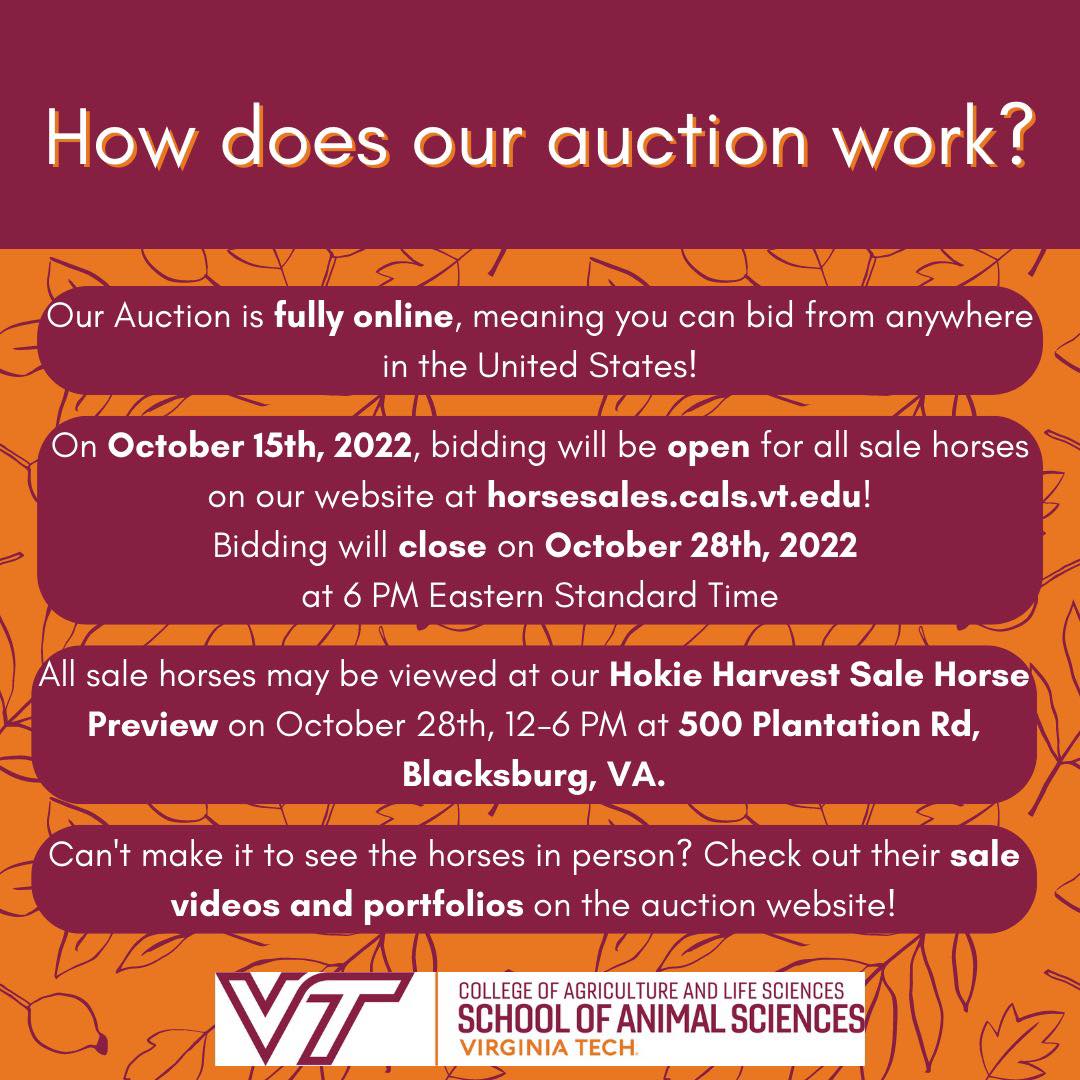 Virginia Tech School of Animal Sciences (@VTAnimalScience) / Twitter Virginia Tech School of Animal Sciences (@VTAnimalScience) / Twitter