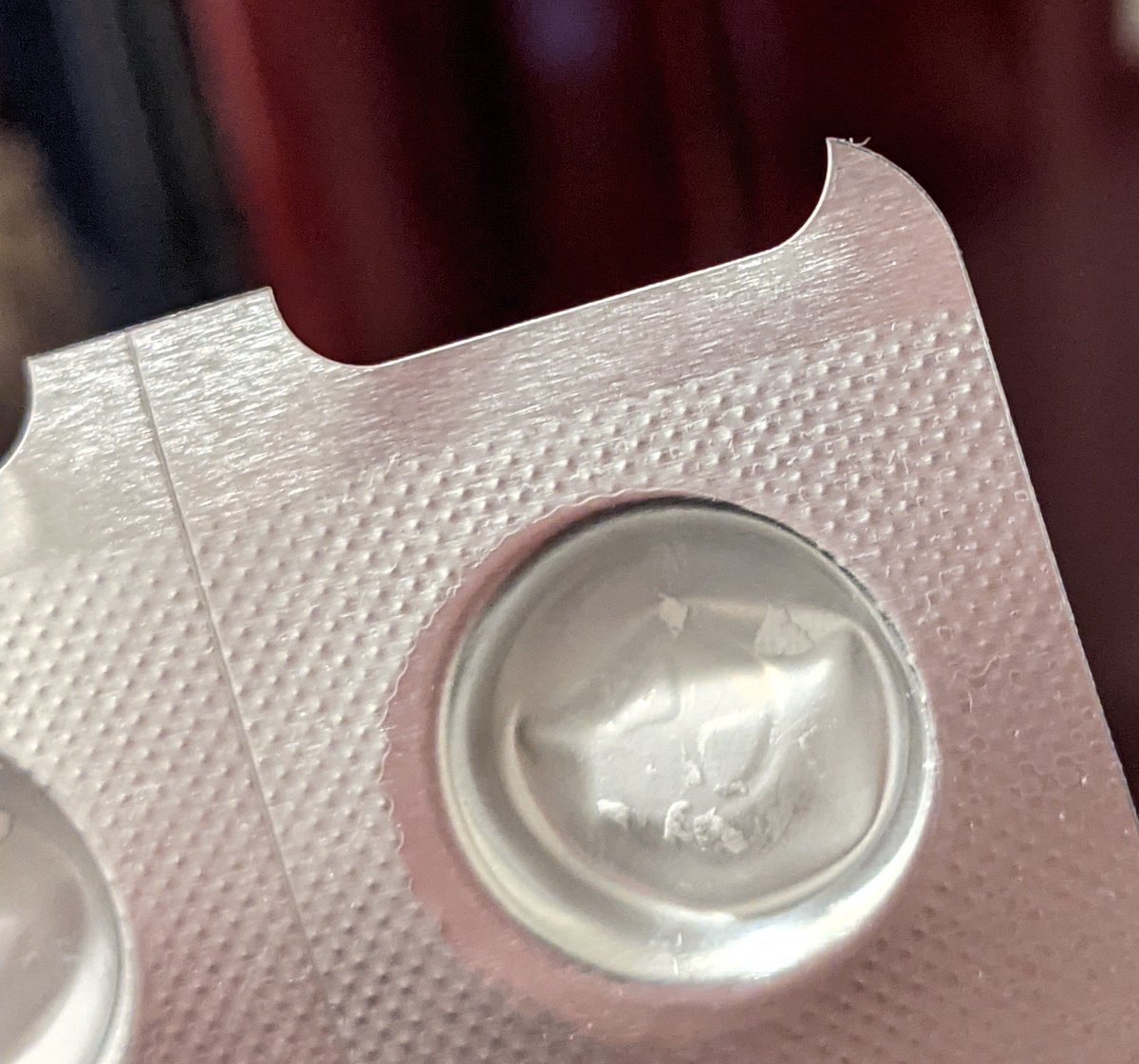 Julie is A REAL BIRD tweet media