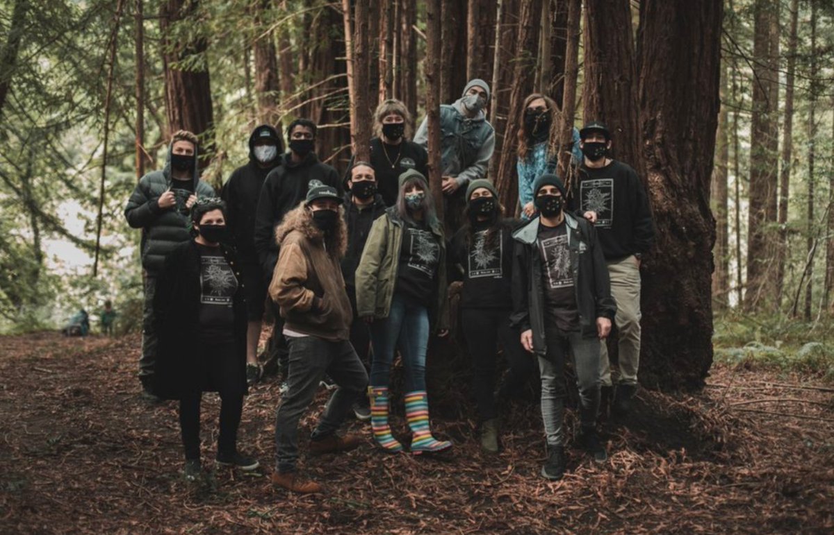 Treehouse_SC's tweet image. 🎃 ¡Feliz fin de semana, de nuestros espíritus  a los tuyos! 🎃

¡Tenemos la diversión de HELLA preparada para tus necesidades de fiesta de Halloween el 28/10, 29/10, 30/10 y sí, el 31/10! 💰😉 

Ven a girar nuestra rueda para probar tu fortuna 🤫 🔮 ✨

 ¡¡No te lo pierdas!!