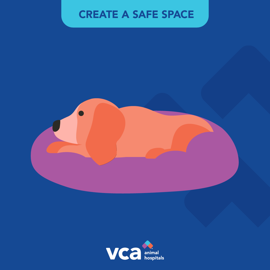 VCAPetHealth's tweet photo. Pets can be super sensitive to unfamiliar costumes and busy sidewalks full of trick-or-treaters, which is why we suggest leaving them at home.
If ringing doorbells may upset your pet, create a safe space for them in a separate room with white noise. #vcapets https://t.co/z9RFHM0VTZ