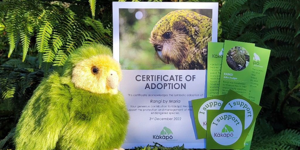 Skraaaak! Adopt one of my friends!

Kākāpō adoptions have now reopened!

Adoptions make great gifts for your whānau (family) and friends, who will receive a personalised certificate, a soft toy, bookmarks and stickers.

Find out more here: bit.ly/3FfhLXs