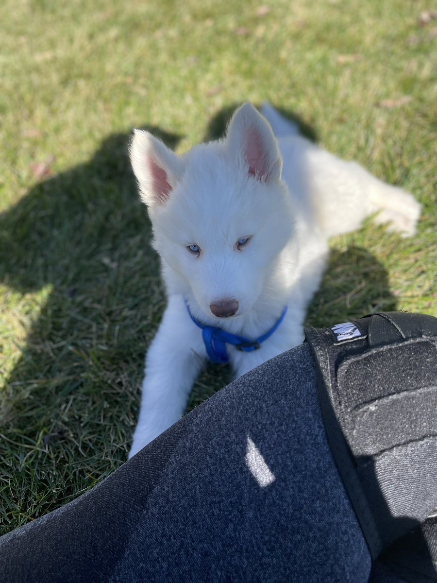 ItsJakuna's tweet photo. Killua 🐾 https://t.co/fn0tzIJv3F