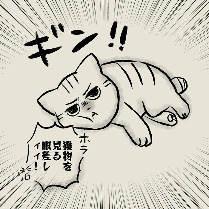 床でダラける猫。それが「寝たふり」なことを飼い主は全てはお見通しなのである!!【連載】交通事故にあった猫を拾いました#86|ねこのきもちWEB MAGAZINE https://t.co/BiDGkGuwcM 