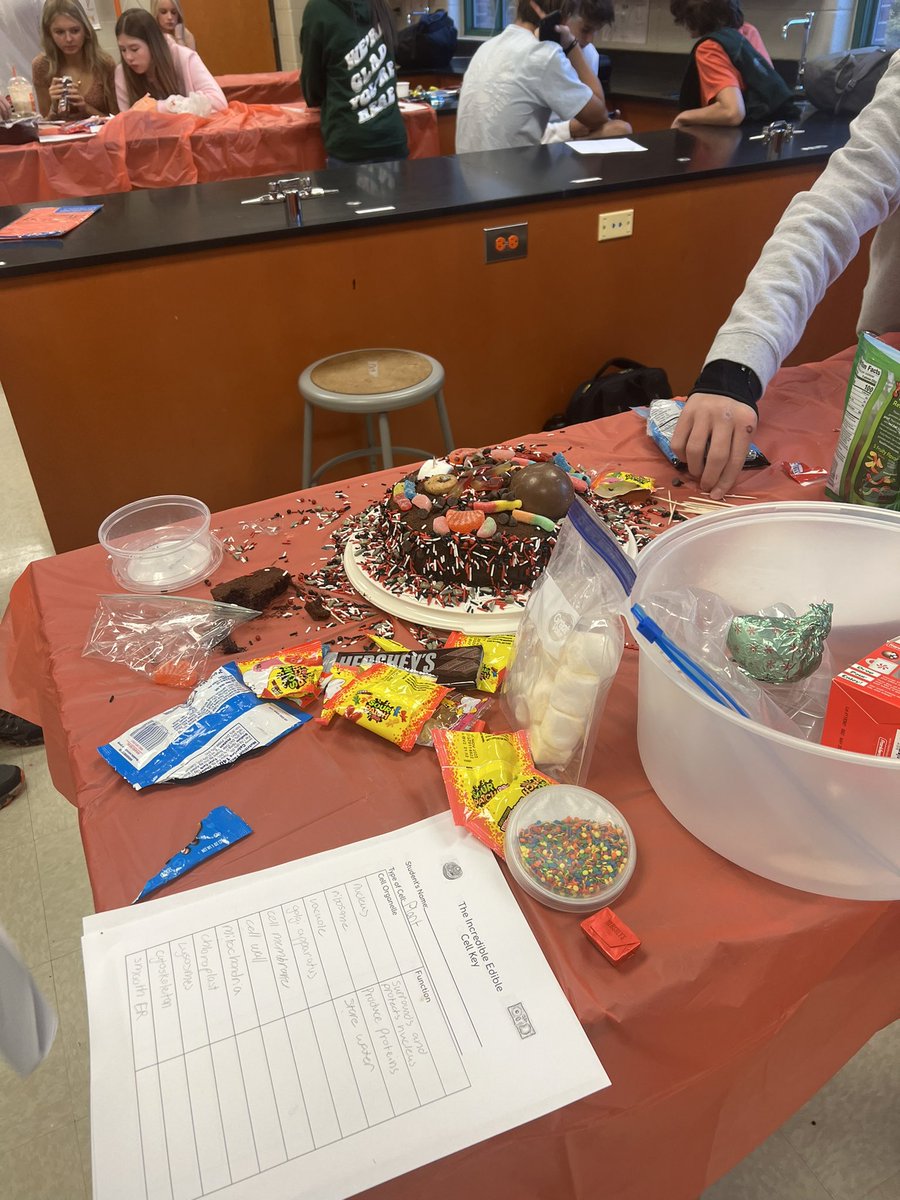 MsMuchiriEDUC's tweet photo. Bringing cells to the tasty side! Onlevel made edible cells showing their knowledge of cell organelles! #Science #WestForsyth #Cells https://t.co/F4HAQCPX7H