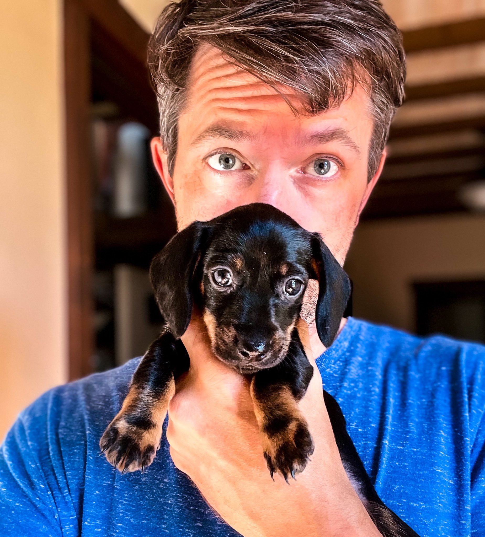 jason-storm-chaser-nelson-shadow-banned-on-twitter-puppy-dog-eyes