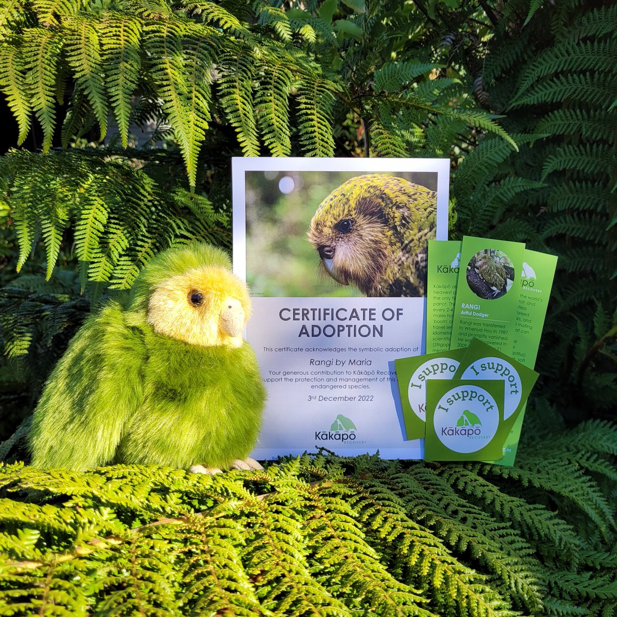 特大カカポぬいぐるみ（Kakapo Recovery 里親特典） 特大カカポぬいぐるみ（Kakapo Recovery 里親特典） - メルカリ