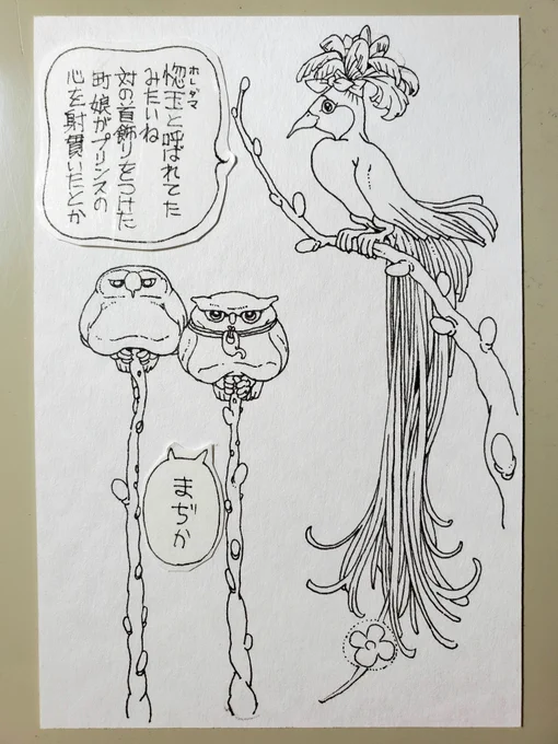 フクミミ09
ペン画 