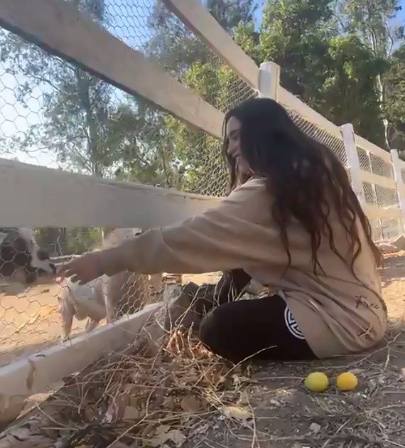 laurfxv's tweet photo. ela de moletom, sentada no chão brincando com os bichinhos mds lauren jauregui você é o amor da minha vidaa https://t.co/SPuwND6e0s