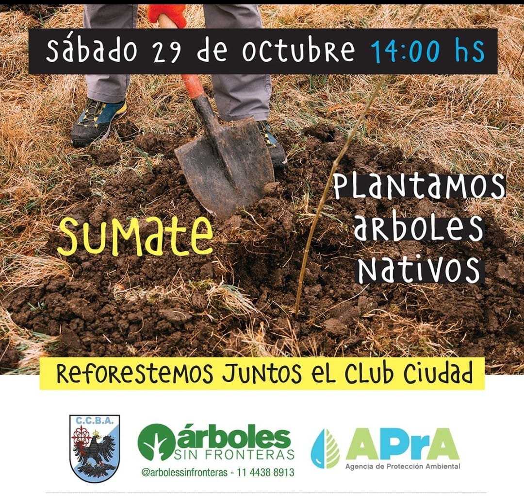 arbolessinfront's tweet photo. Sumate a esta segunda etapa de Reforestación en el Club Ciudad 🌳🦋
Hijos + Padres dejando una huella de responsabilidad ambiental https://t.co/Vga42Td7NC