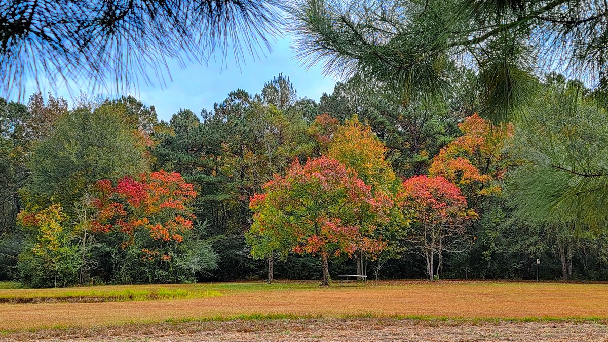 rvturtle's tweet image. Fall on the ranch in Picayune, MS