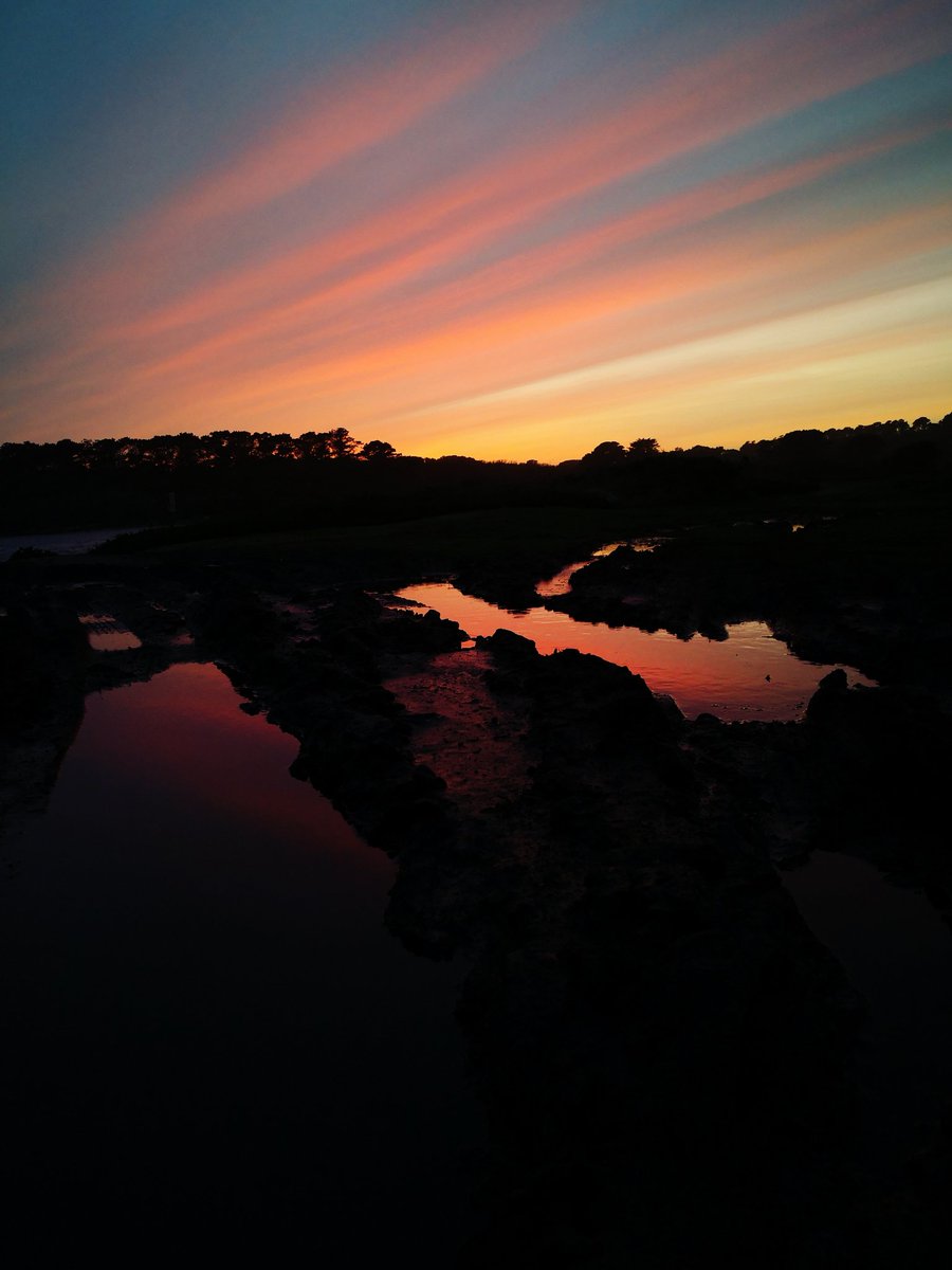 BareFootPhotographer 👣 tweet media