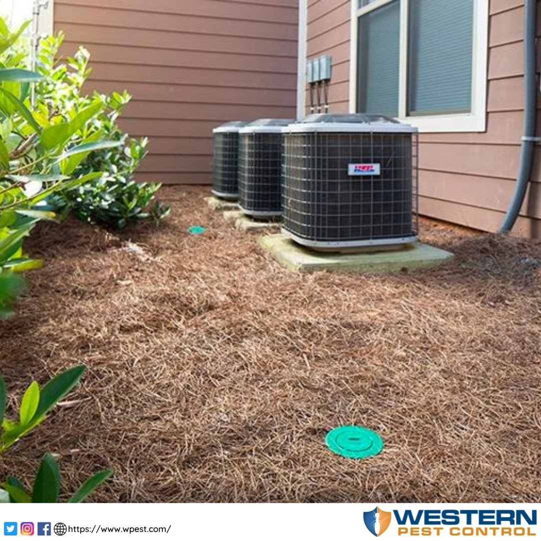 Each Sentricon termite bait station is placed strategically to protect the home. That way, you are immediately given long-term protection from termites. Western Pest Control is well-trained at installing bait stations to effectively control termite colonies on your property.