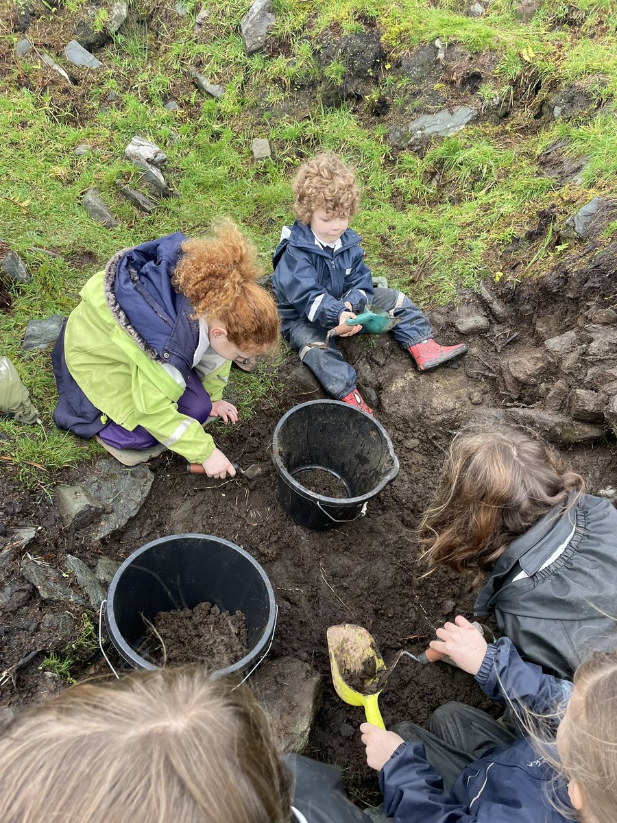 Kilmodan Primary tweet media