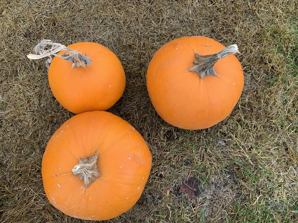 Brooke Elementary tweet media