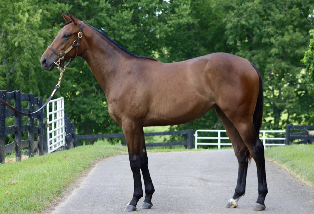 Rose Hill Farm tweet media