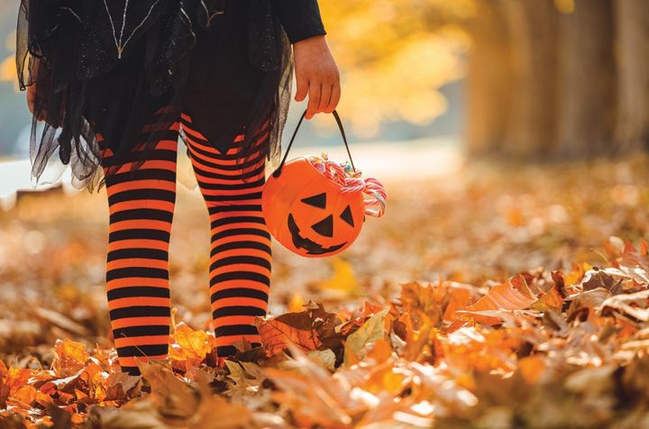 TheAnsonRecord's tweet photo. 🍬 The children of our community need to know!

Where is the best place in Anson County to trick-or-treat?

▶️ https://t.co/UwUWtA6QAV

#AnsonCounty #Wadesboro #Polkton #Lilesville #Morven #Ansonville #Peachland #McFarlan #Poll #Vote #PollQuestionOfTheWeek #NorthCarolina https://t.co/Gcg59ARZUj