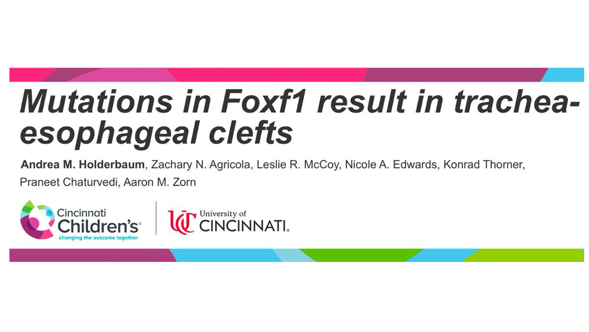 AMHolderbaum's tweet photo. I'm grateful to have had the opportunity to present a poster of my thesis work last week at @SocDevBio 12th Structural Birth Defects Meeting. What a great experience of sharing ideas and meeting fellow developmental biologists! #12thSDB #structuralbirthdefects #Devbio @MDBCincy https://t.co/cxkNpAx2cT