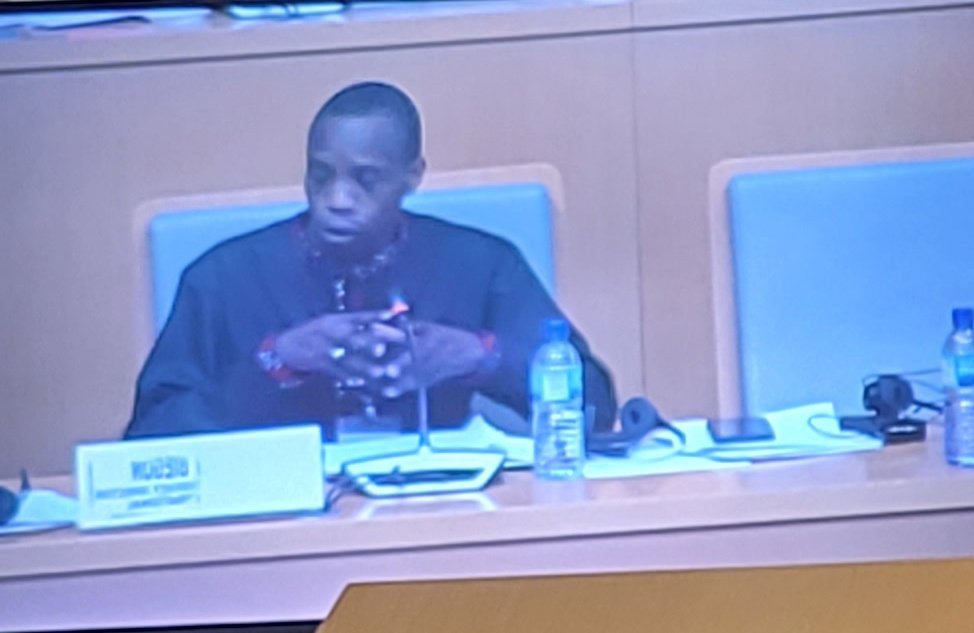 SolomonADersso's tweet photo. Concluded panel of the #ACHPR73OS on the draft guidelines on upholding human rights standards of the African Charter in times of emergencies or desaster of the @achpr_cadhp with Commissioner Fadel moderating &amp; @BiegonJaphet &amp; @Aoueiss speaking, draft here https://t.co/tpjj1XonwH https://t.co/JHz4CmtryB