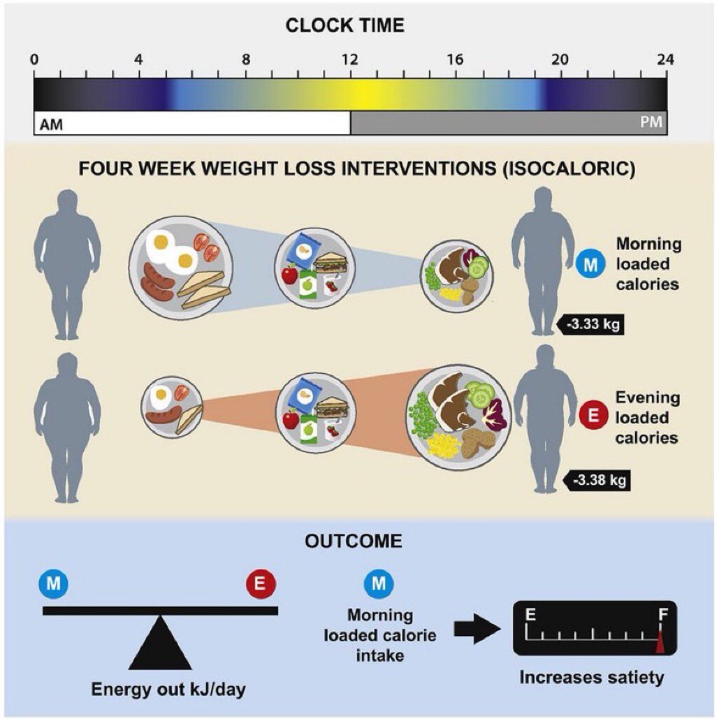 CONCLUSIÓN 
🚩 A igualdad de calorías:

❌Sin diferencias en:
❌PÉRDIDA DE PESO
❌GASTO METABÓLICO
❌METABOLISMO BASAL

✅ IMPORTANTE: Comer durante el día produce MAYOR SACIEDAD que comer en la noche ➡️ a largo plazo, mayor pérdida de grasa