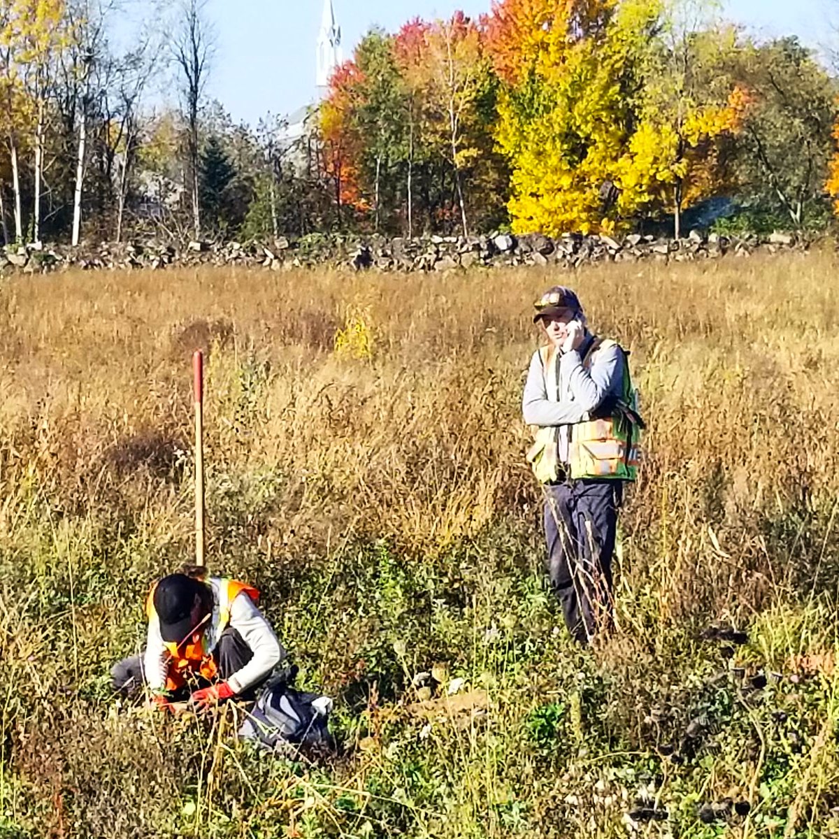 [David Attenborough voice] "Here we've found the elusive Senior Archaeologist. Well adapted to the stresses of the office environment, habituated to emails and phone calls, it misses regular digging experience and is maladapted for life in the wild."
#archaeology