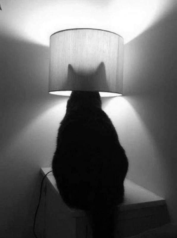 NOIR (@thefuturespacex) on Twitter photo 