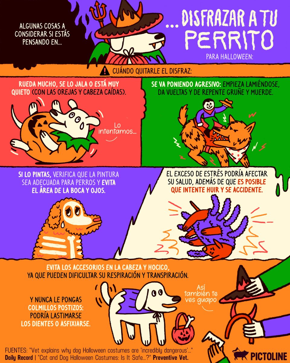 pictoline's tweet photo. No les pasa que 🧡🧡🎃 perritos disfrazados 👻🤍🤍

Algunas cosas a considerar si estás pensando en disfrazar a tu 🐶: https://t.co/CcnNFUonIG