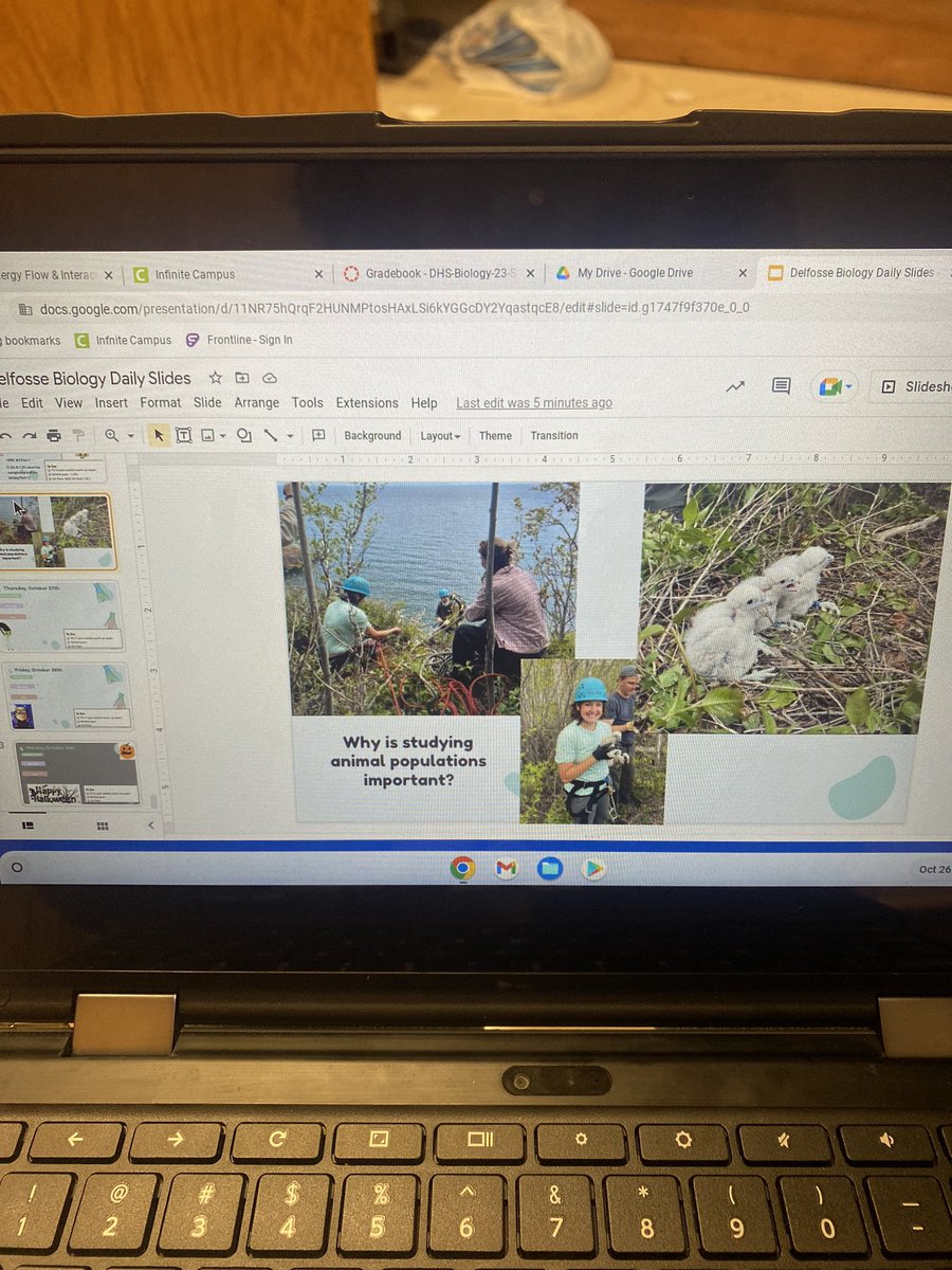 MsDelfosse's tweet photo. When a biology student asked ‘why is this stuff even important’ yesterday, I got to start class today talking about Peregrine Falcon work done in our area. Good thing I know people who love birds! @WolfRidgeELC @Hawk_Ridge #peregrines #scienceinaction https://t.co/4sB4U0vVLa