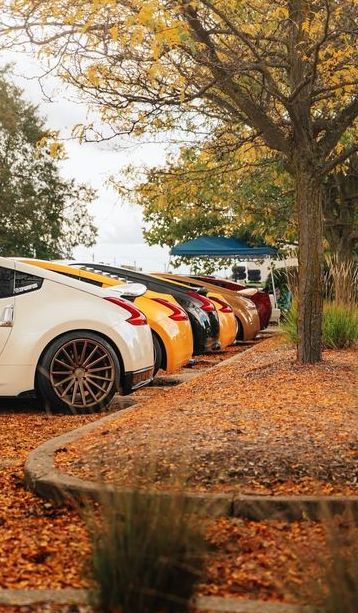 Catching z's this fall 📸 #NissanFanFeature: ozzy.z34 sifuandy