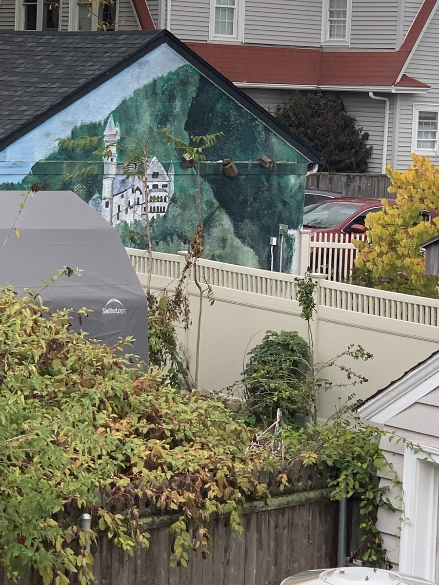 starlightxv's tweet photo. Our neighbors have this super cool mural painted on their garage and today I suddenly realized it was Neuschwanstein Castle https://t.co/EHO0ZczfyB