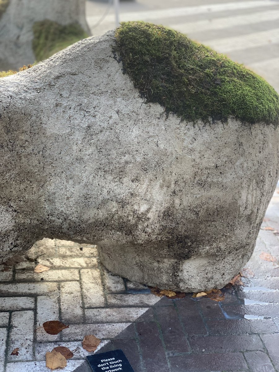 lbood's tweet photo. Zo simpel kan meer groen (op steen) zijn.
Wat voor de broodjes langs de kade? 
#mos #water #klimaat @MSNoordereiland @RWeerwoord gespot op Ketelplein @dutchdesignweek https://t.co/7qYm1s468S