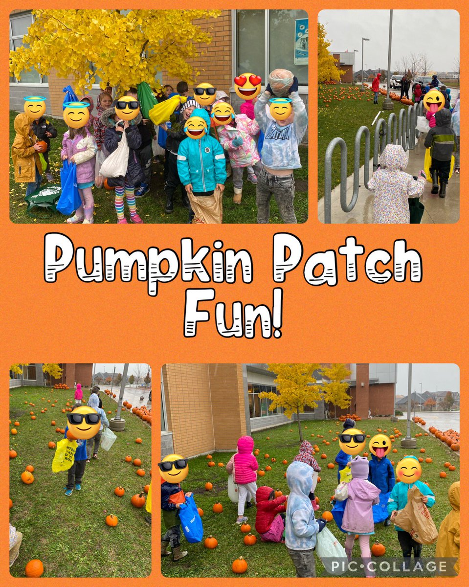The rain can’t keep us away as we visited our schools pumpkin patch today. Thank you to our parent council for organizing and putting together a wonderful experience for all students. 🎃💛 <a href="/LakeSimcoePS/">Lake Simcoe PS</a> <a href="/Heather7Ellis/">Heather Ellis</a>