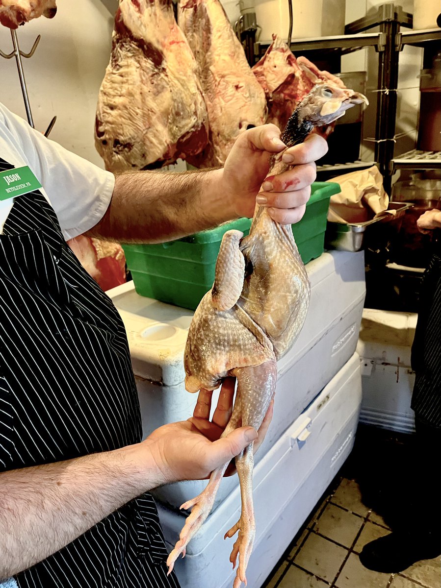Grimaud Farms Guinea Hens arrive today. Make a special midweek dinner with them! Raised here in California to our ethical standards.
#Guineahen
#Berkeleyeats
#Butchershop