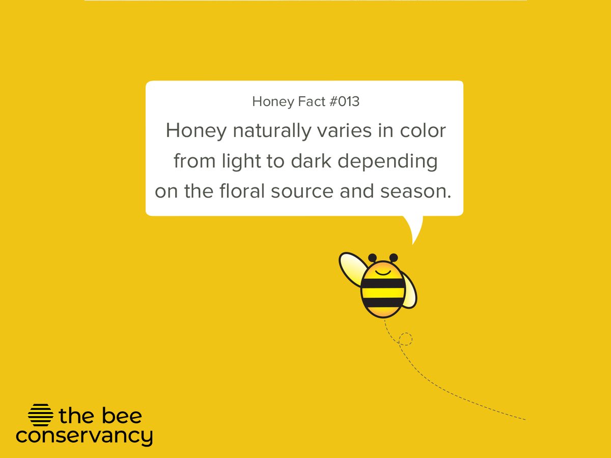 Did you know? Different blossoms and bloom times will determine the color of honey. ​

#colorofhoney #lighthoney #darkhoney #HoneyBee #InspiredbyNature #Zarbees