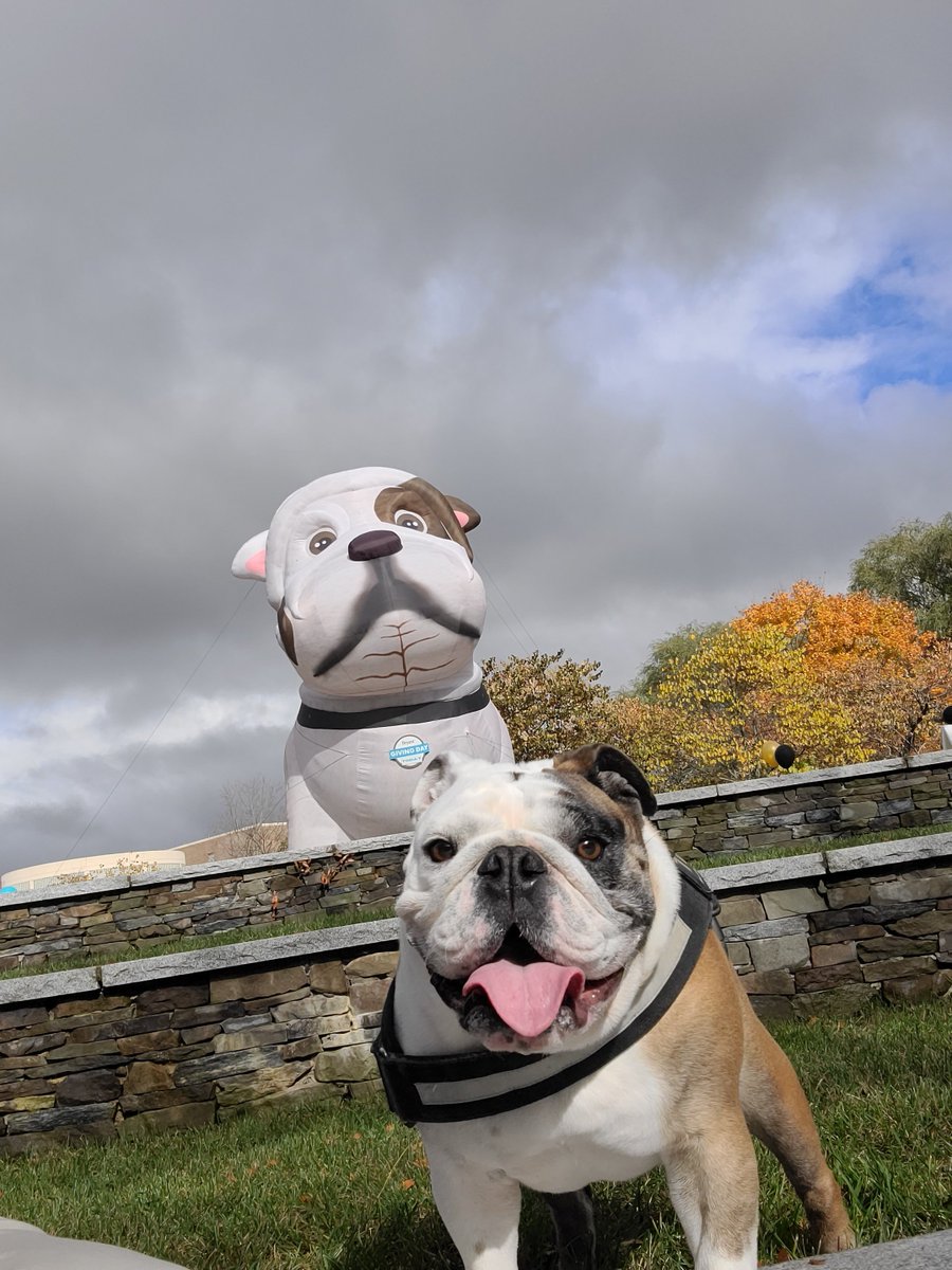 BryantTupper's tweet photo. Okay, so I've met Big Tupper plenty of times, but now there's Even Bigger Still Tupper?! #BryantGivingDay is clearly wicked important when they bring in what is essentially a Mascot Kaiju. https://t.co/Ffbjlu4Ywf