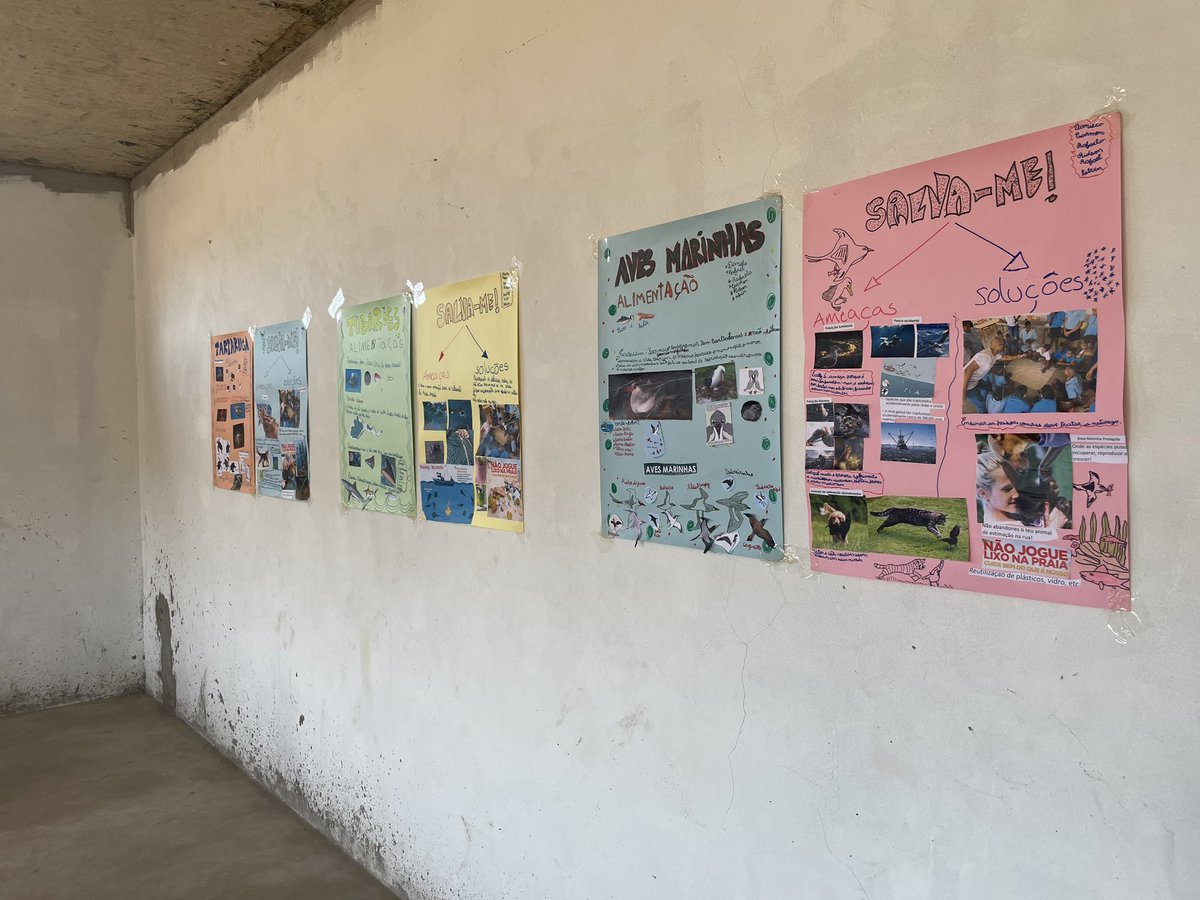 EdOceanLeaders's tweet photo. This morning we joined #OceanLeader fellow, @YoliFish to take part in the last of a 3-day educational workshop that she co-designed with @BiosferaCV.

The children of Salamansa school were incredible teachers. It was 
so inspiring to see the empowering lessons Yoli facilitates. https://t.co/u0hagFdmHX