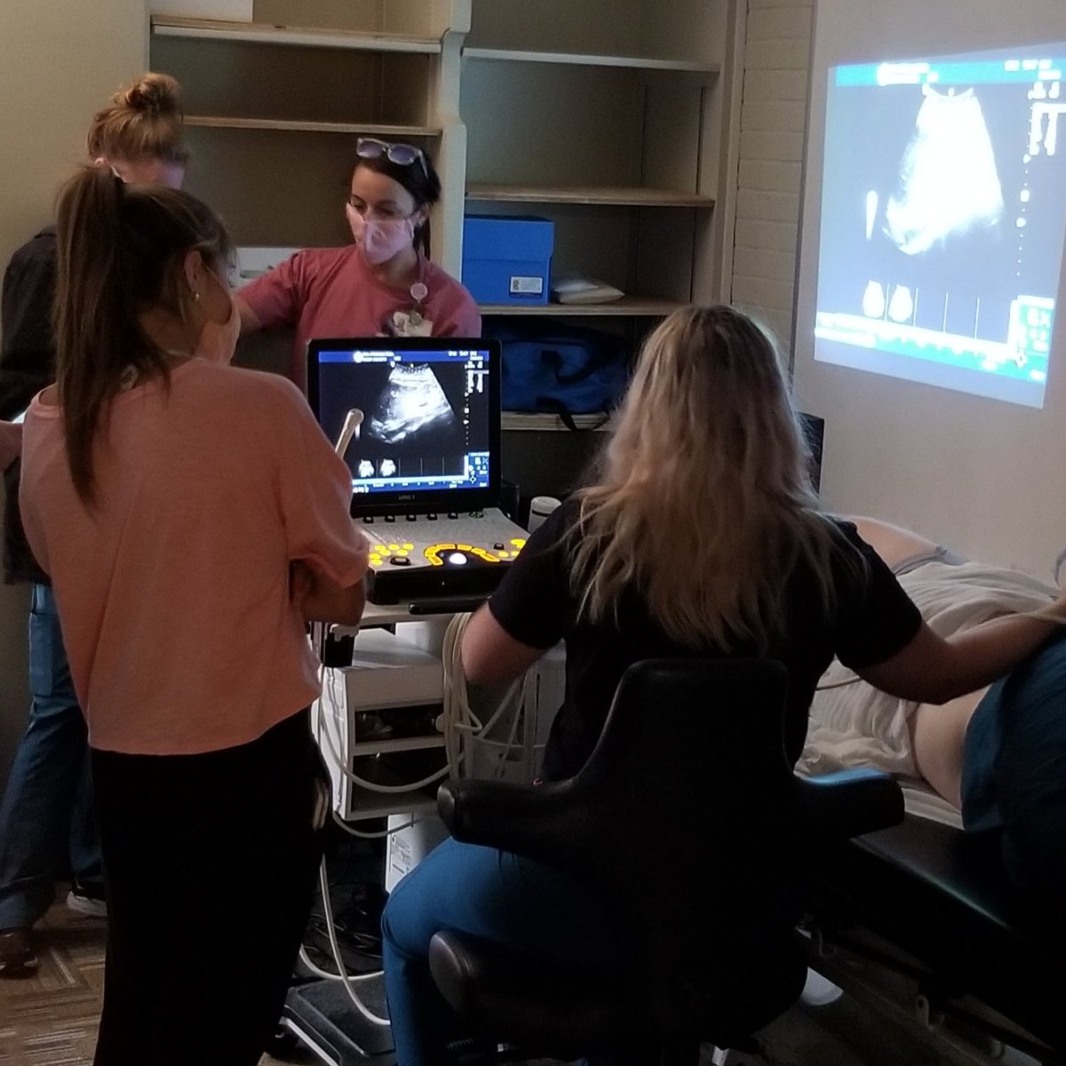 uamschp's tweet photo. 🎉ICYMI 👉October is Medical Ultrasound Awareness Month! Thanks to this month long campaign we’re able to celebrate the extraordinary contribution medical sonography provides to modern medicine.
📧Learn more https://t.co/wbQssyZ6dX
#uamshealth #uamschp #seeingwithsound https://t.co/bObeSzcEZ9