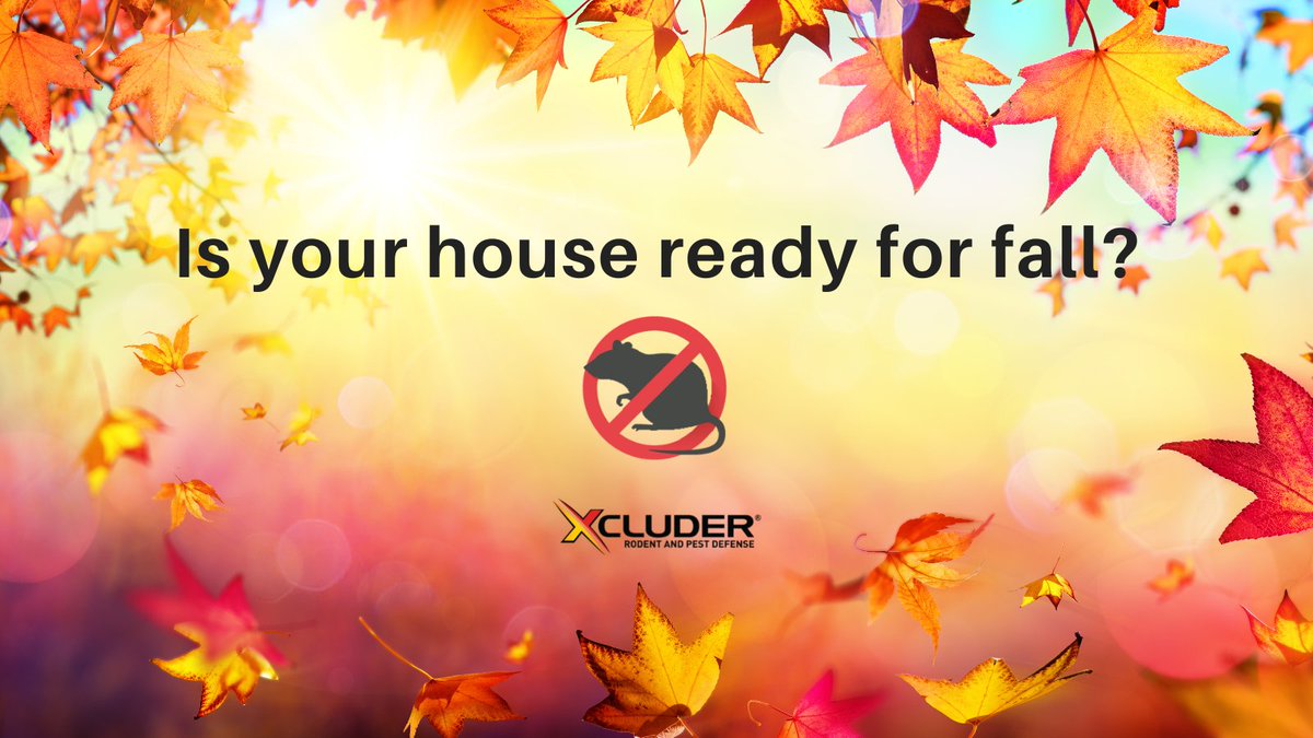 XcluderRodent's tweet photo. Don't wait... Now is the time to address any gaps, cracks, or holes that pests could use to get inside. Go to https://t.co/HCSuhReiiY to learn more!
#Xcluder #Exclusion #PestProof #PestControl #Mice #Rats https://t.co/uPDIQmtXEV